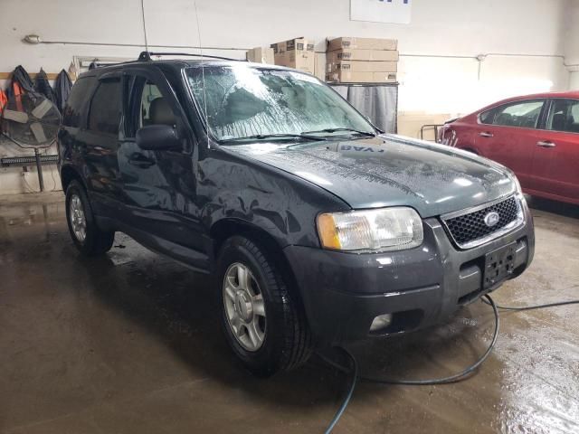 2003 Ford Escape XLT