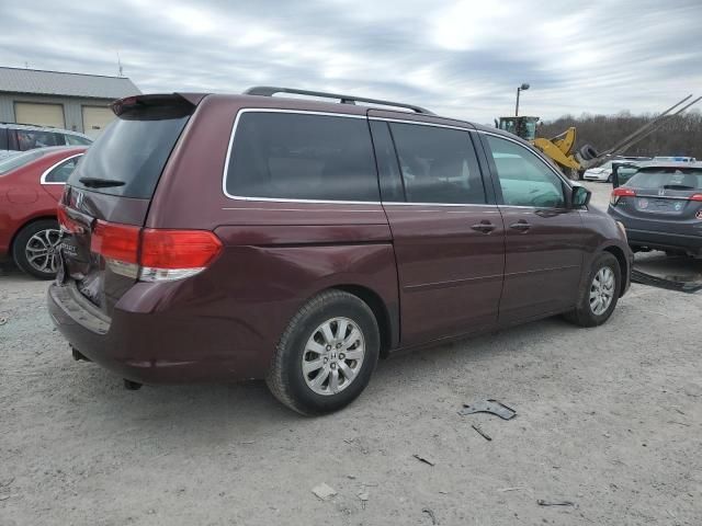 2010 Honda Odyssey EX