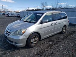Salvage cars for sale from Copart Marlboro, NY: 2006 Honda Odyssey EX