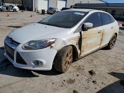 Clean Title Cars for sale at auction: 2014 Ford Focus SE