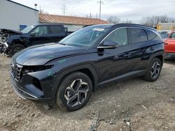 Salvage cars for sale at Columbus, OH auction: 2024 Hyundai Tucson Limited