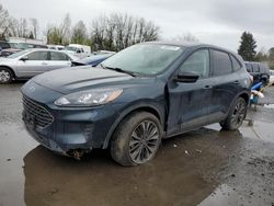 Salvage cars for sale at Portland, OR auction: 2022 Ford Escape SE