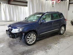 Salvage cars for sale from Copart Albany, NY: 2013 Volkswagen Tiguan S