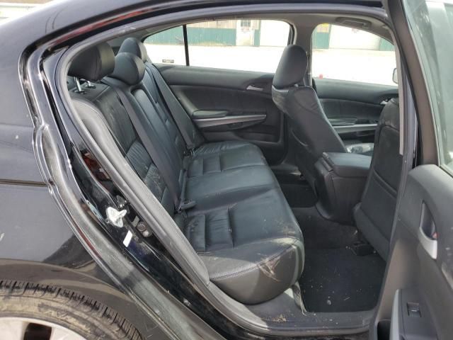 2009 Honda Accord EXL