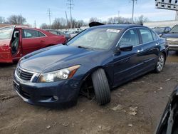 Salvage cars for sale from Copart Columbus, OH: 2010 Honda Accord EXL