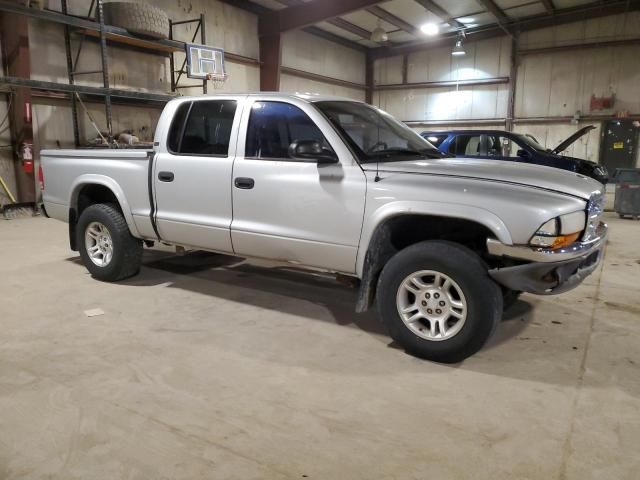 2001 Dodge Dakota Quattro