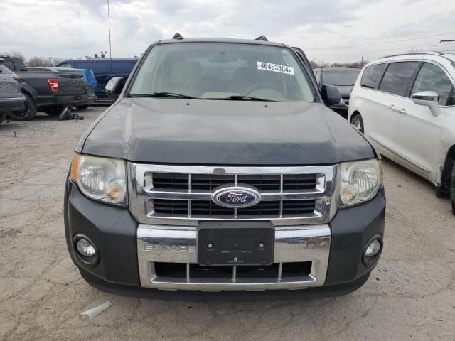 2009 Ford Escape Limited