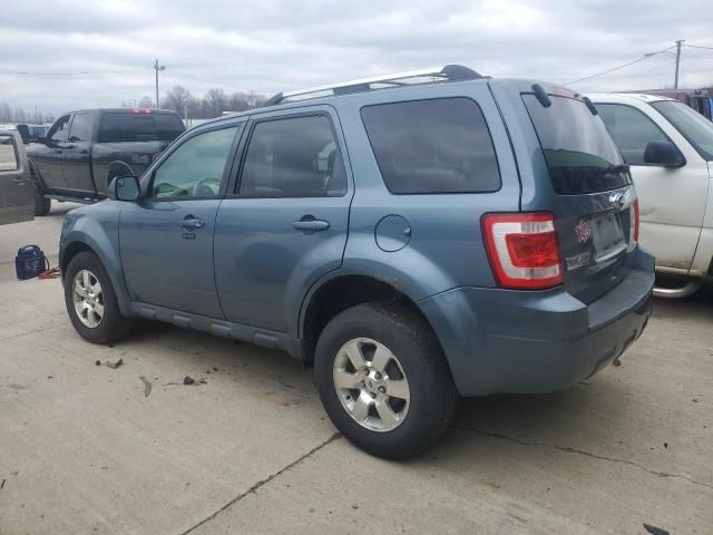 2011 Ford Escape Limited