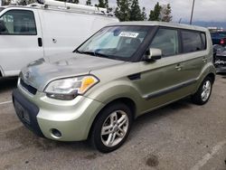 KIA Soul salvage cars for sale: 2011 KIA Soul +