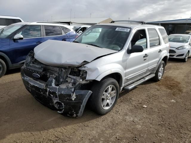 2007 Ford Escape XLT