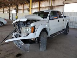 Salvage cars for sale at Phoenix, AZ auction: 2013 Ford F150 Supercrew