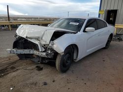 Salvage cars for sale at Albuquerque, NM auction: 2014 Dodge Charger SE