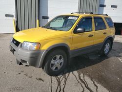 Ford Escape salvage cars for sale: 2001 Ford Escape XLT