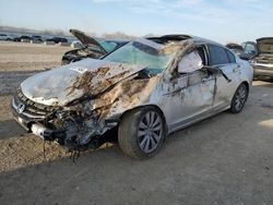 Salvage cars for sale at Kansas City, KS auction: 2011 Honda Accord EXL