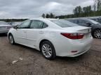 2014 Lexus ES 300H