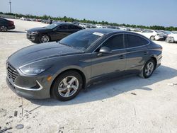 Salvage cars for sale at Arcadia, FL auction: 2023 Hyundai Sonata SE