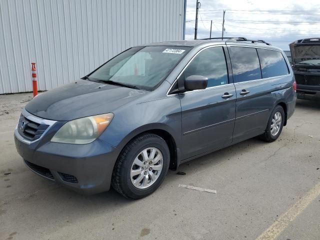 2010 Honda Odyssey EXL