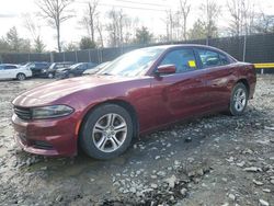 Dodge Charger salvage cars for sale: 2020 Dodge Charger SXT