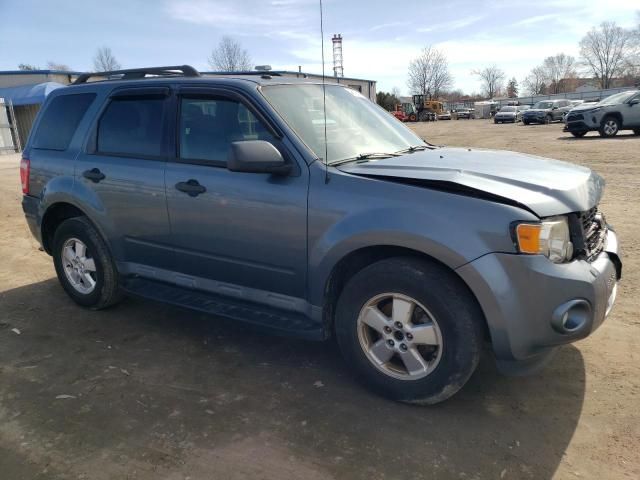 2010 Ford Escape XLT