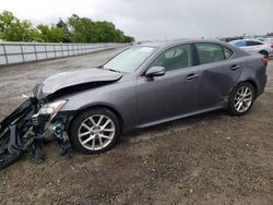 Lexus IS salvage cars for sale: 2013 Lexus IS 250