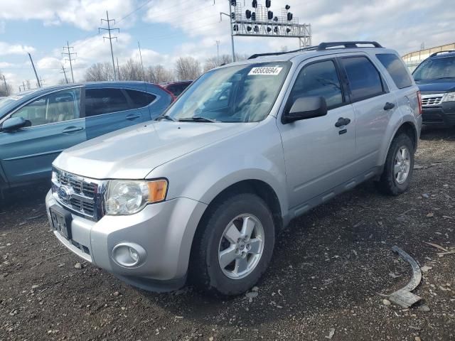 2011 Ford Escape XLT