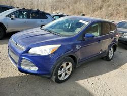 Salvage cars for sale from Copart Marlboro, NY: 2013 Ford Escape SE