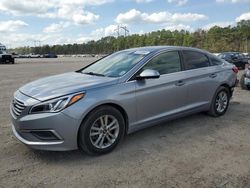 Salvage cars for sale at Greenwell Springs, LA auction: 2016 Hyundai Sonata SE