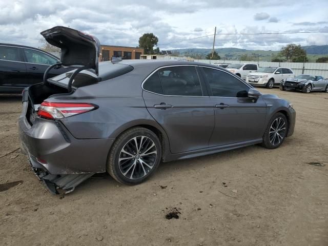 2019 Toyota Camry Hybrid