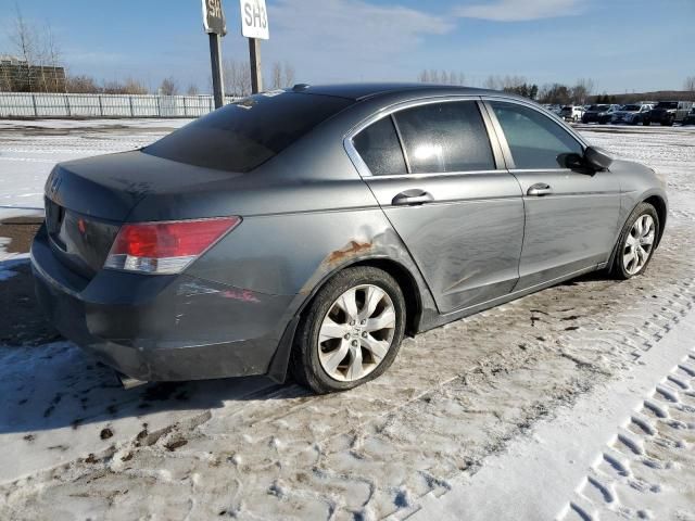 2010 Honda Accord EXL