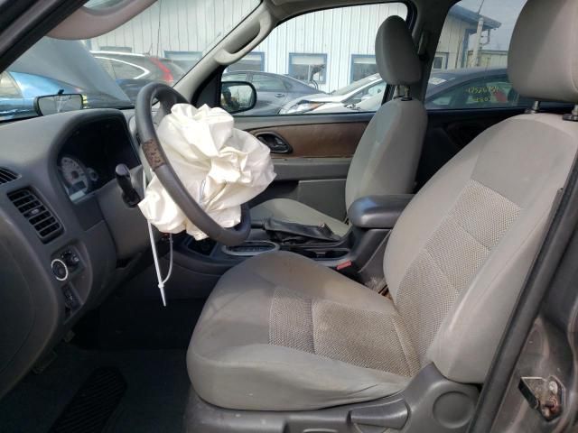 2005 Ford Escape XLT