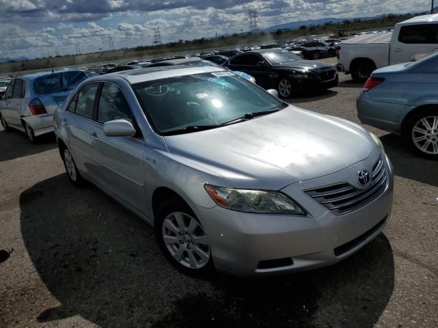 2009 Toyota Camry Hybrid