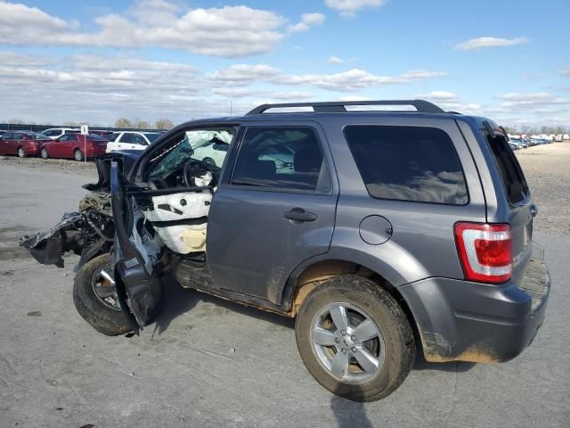 2010 Ford Escape XLT