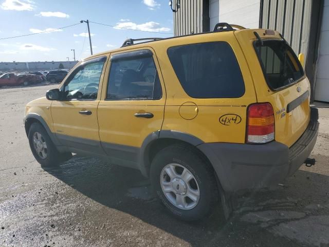 2001 Ford Escape XLT