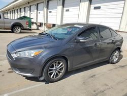 2015 Ford Focus SE for sale in Louisville, KY