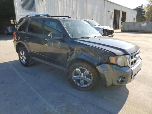 2009 Ford Escape Limited