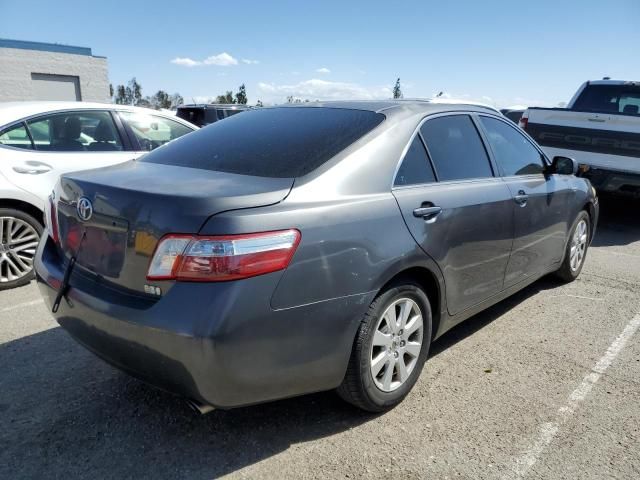 2009 Toyota Camry Hybrid