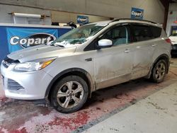 Salvage cars for sale from Copart Angola, NY: 2016 Ford Escape SE