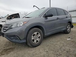 SUV salvage a la venta en subasta: 2013 Honda CR-V LX