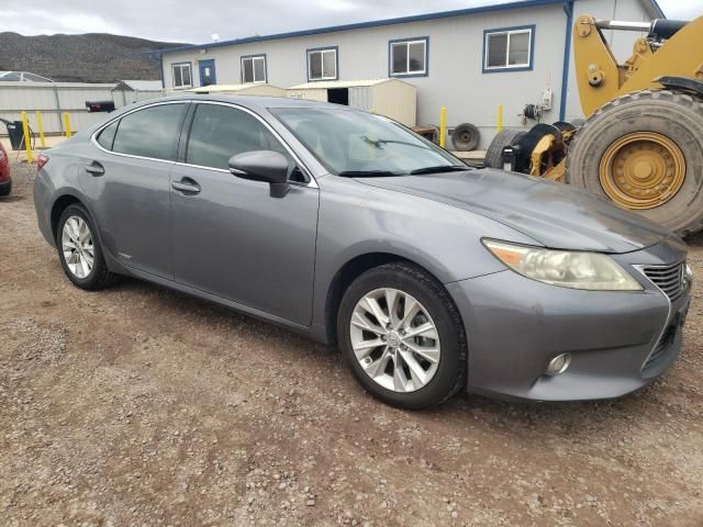 2013 Lexus ES 300H