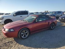 Ford salvage cars for sale: 2004 Ford Mustang