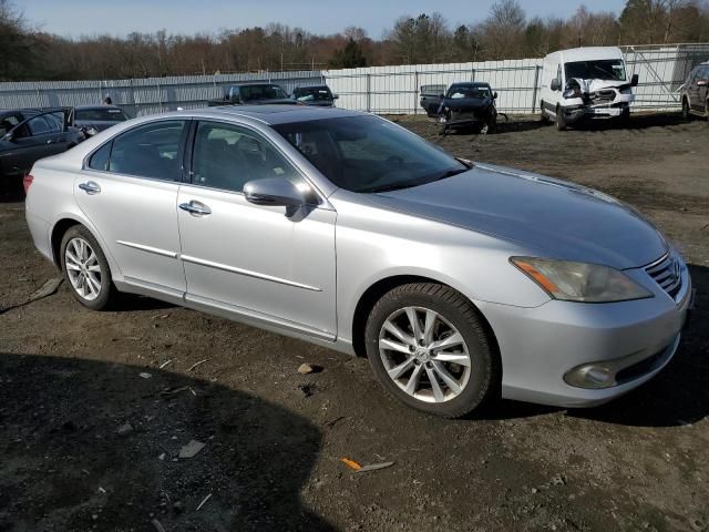 2010 Lexus ES 350