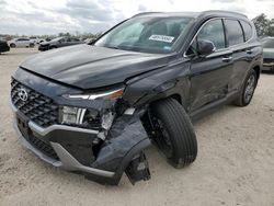 Salvage cars for sale at Houston, TX auction: 2023 Hyundai Santa FE SEL