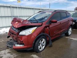 Salvage cars for sale from Copart Littleton, CO: 2016 Ford Escape SE