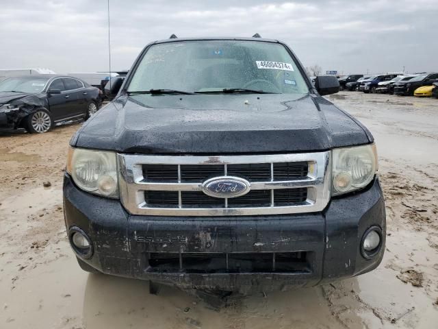 2008 Ford Escape XLT