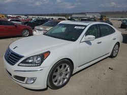 Salvage cars for sale from Copart Earlington, KY: 2011 Hyundai Equus Signature