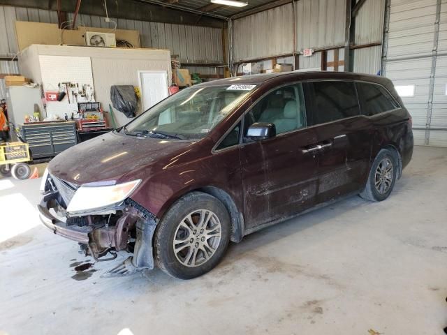 2011 Honda Odyssey EXL