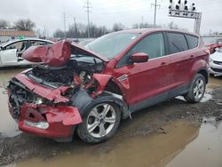 Salvage cars for sale from Copart Columbus, OH: 2015 Ford Escape SE