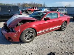 Ford salvage cars for sale: 2013 Ford Mustang