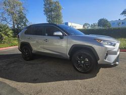 Toyota Rav4 XLE salvage cars for sale: 2019 Toyota Rav4 XLE