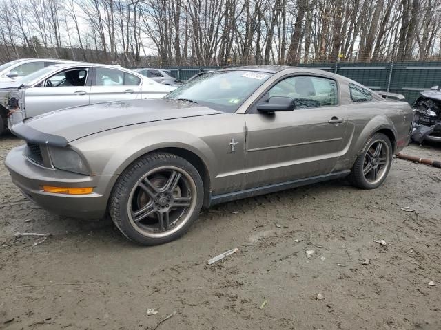 2005 Ford Mustang